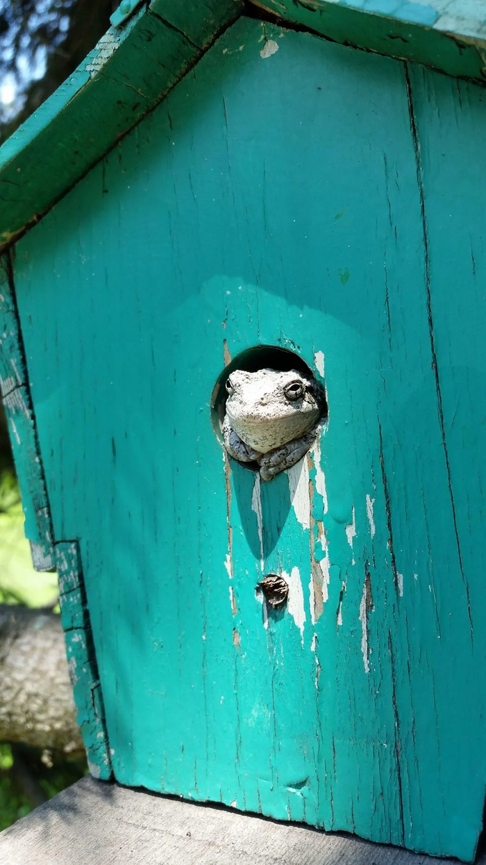 Это среда, мои чуваки