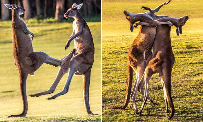 Когда с братом не поделили последний кусочек мармелада.