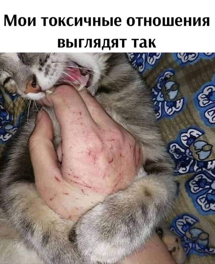 � ��� ����������