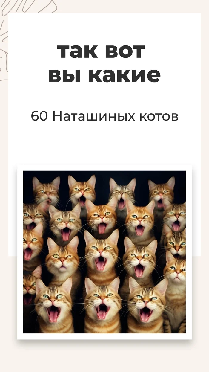 А вы за большое количество домашних питомцев или против? - Моё, Кот, Пушистые, Погладь кота, Домашние животные, Кошатники, Мемы, Странный юмор