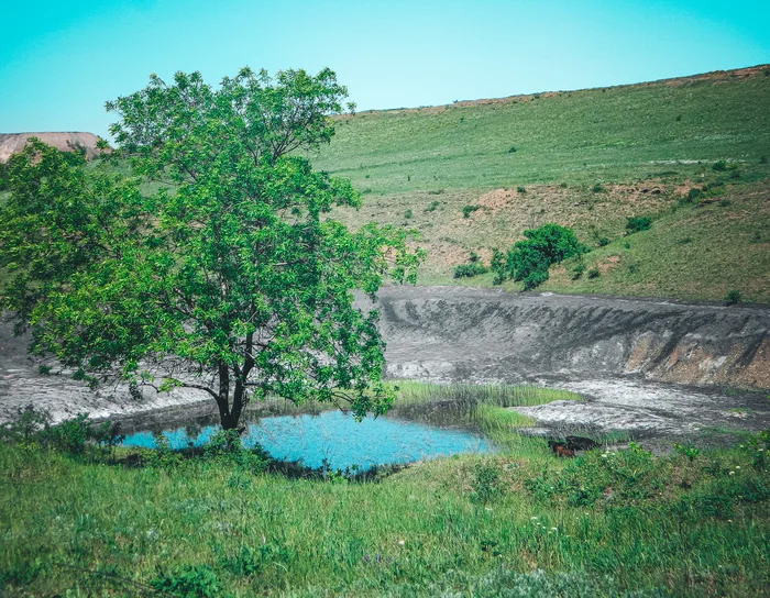 Природное - Моё, Фотография, Антрацит, Nikon d3100, Зелень, Скалы, Длиннопост