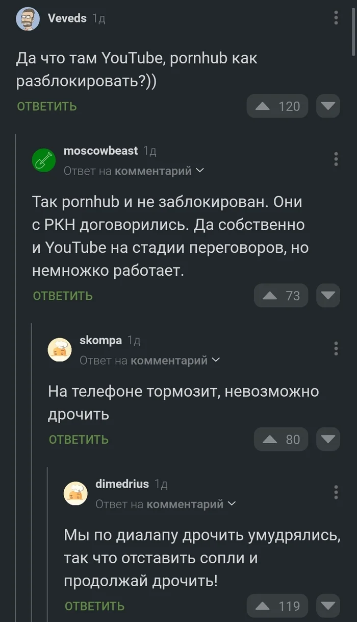 Современные проблемы - Юмор, Скриншот, Комментарии на Пикабу, Блокировка youtube, Pornhub