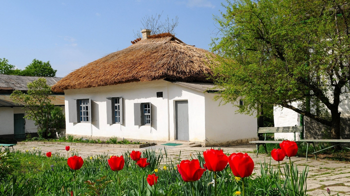 ���-����� �. �. ���������� � ����������