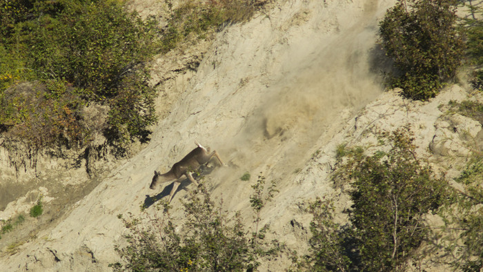 ... "    ?     ,   ..."