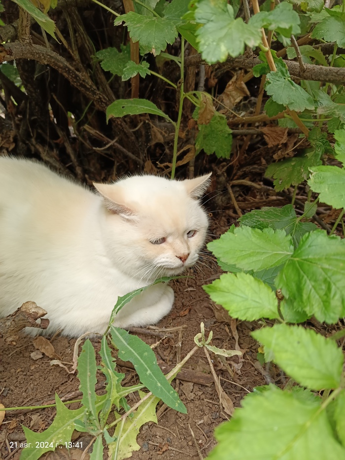 За 4 минуты до этого...