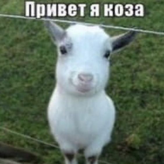 Приятно познакомиться