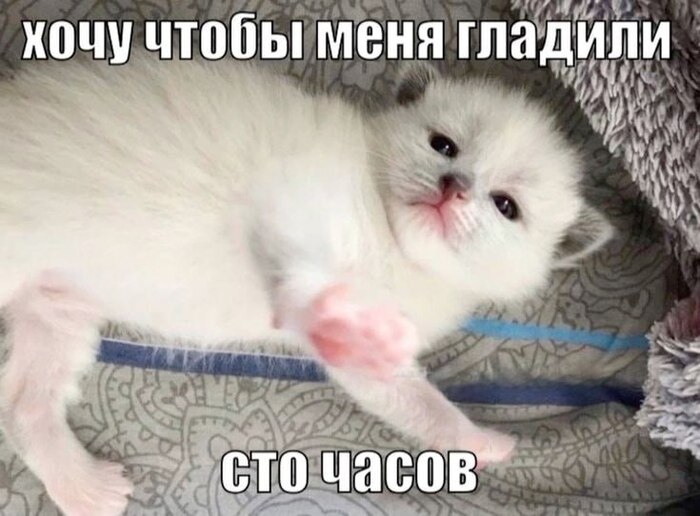   , ,   , 