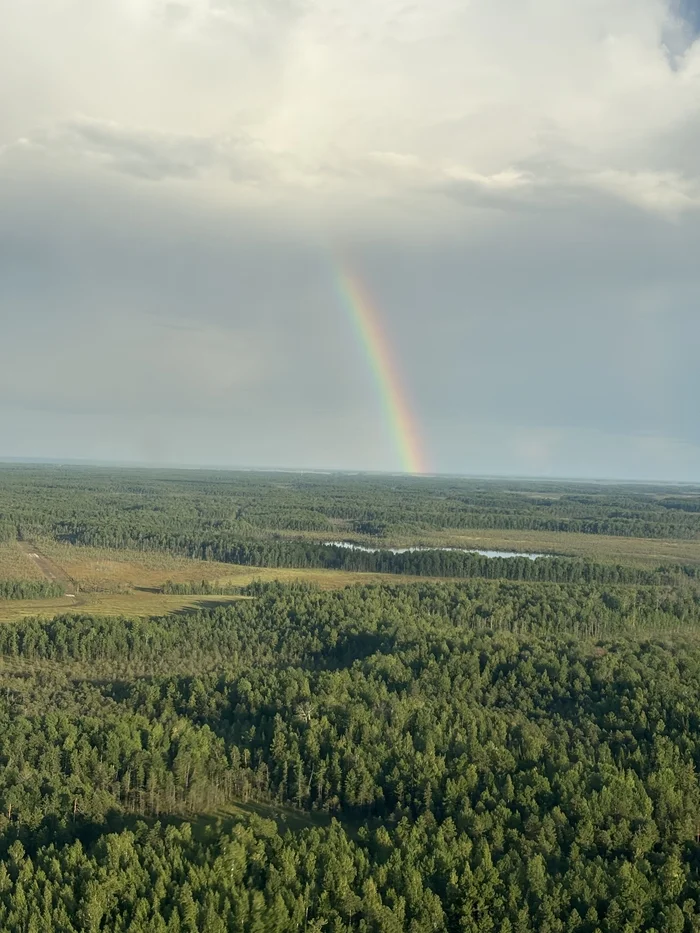 Мой Rainbow - Моё, Радуга, ХМАО, Природа, Лес