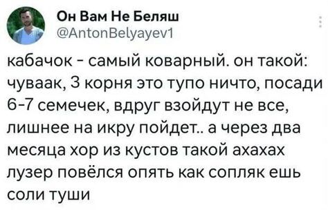 Опять повёлся - Скриншот, Twitter, Юмор, Урожай, Кабачок, Повтор