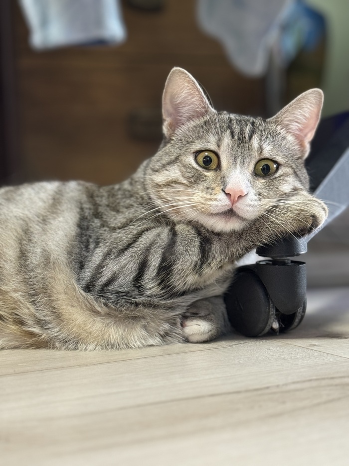 �� ���� �����