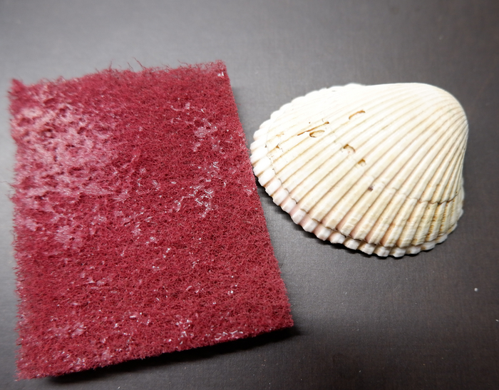 Моя сверкающая ракушка... Инструкция по гальванопластике