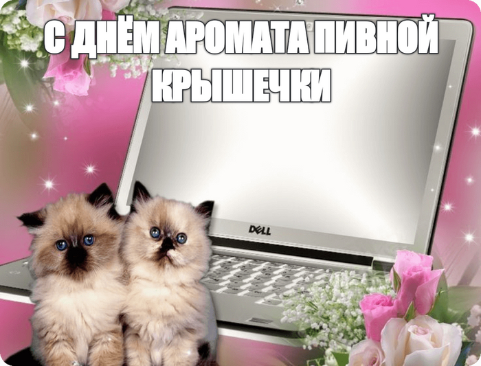 � �� �����