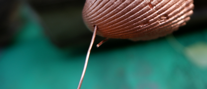 Моя сверкающая ракушка... Инструкция по гальванопластике