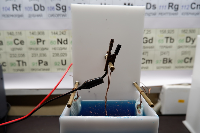 Моя сверкающая ракушка... Инструкция по гальванопластике