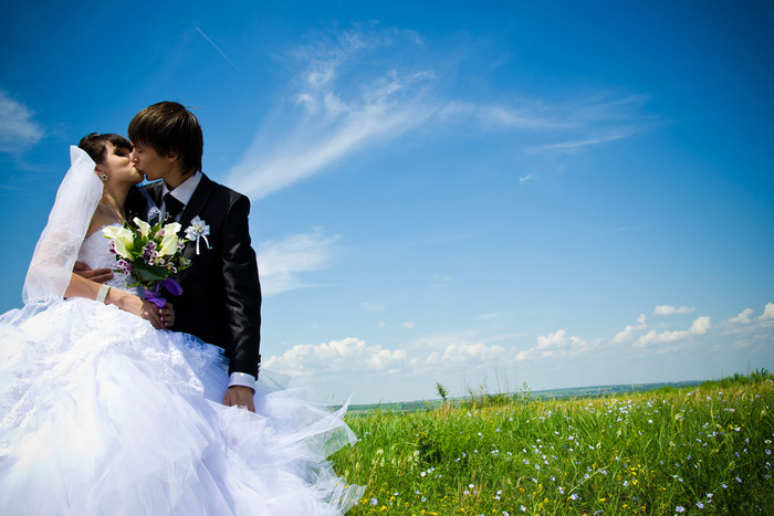 ������� � 2012 ������ ���������