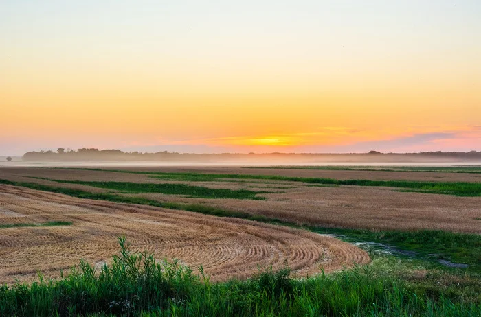 The fog is spreading low... - My, The photo, Nikon, Nature, Landscape, Sunset, Fog, Field, Beautiful view