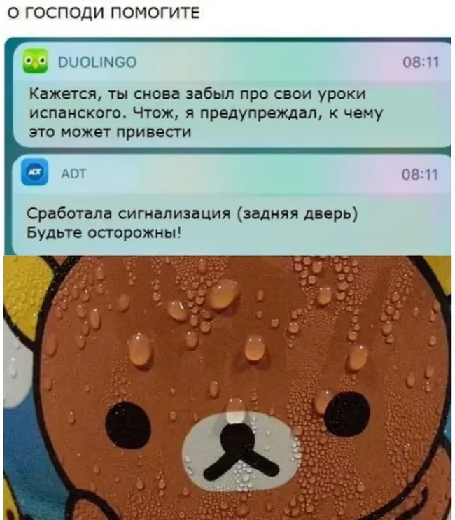 Duo предупреждал... - Duolingo, Картинка с текстом, Юмор