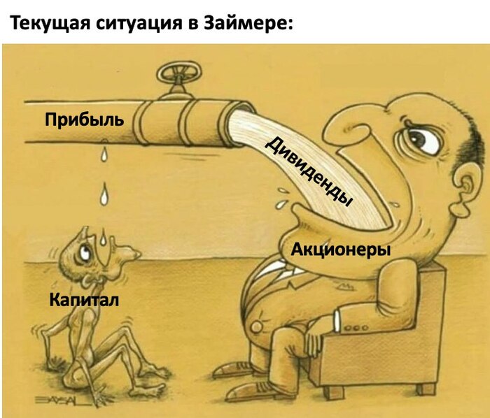 Займер . Все на дивиденды