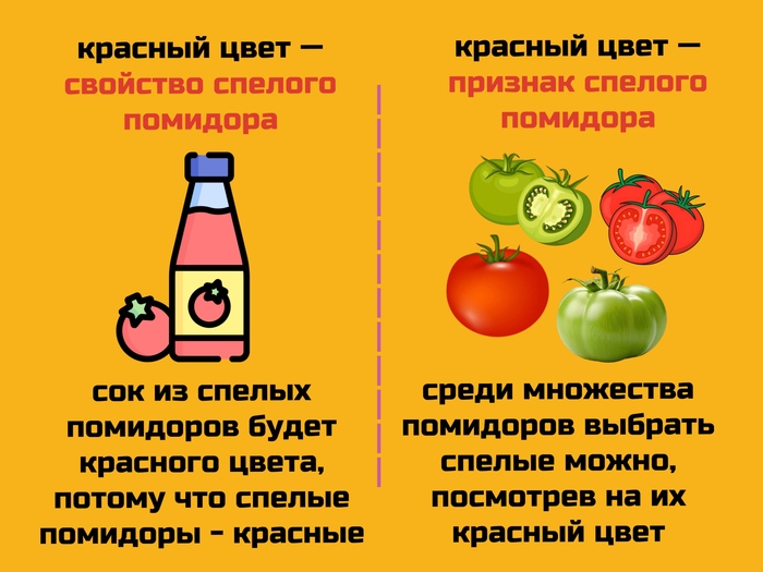 Признаки и свойства: в жизни и в геометрии