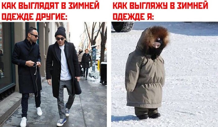 Признаки и свойства: в жизни и в геометрии