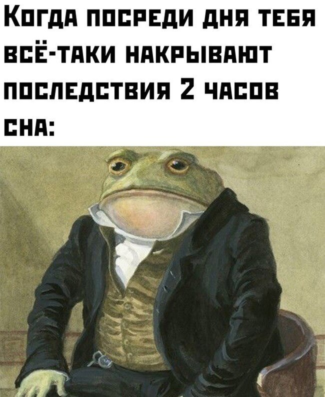 Признаки и свойства: в жизни и в геометрии