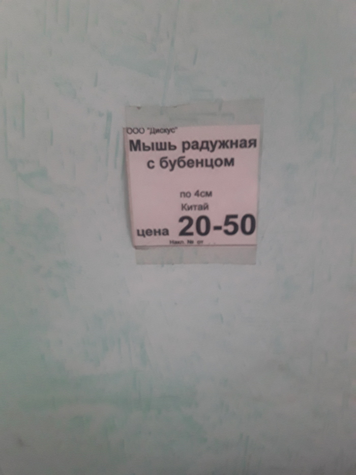 � ����� ���� ���������� �����?