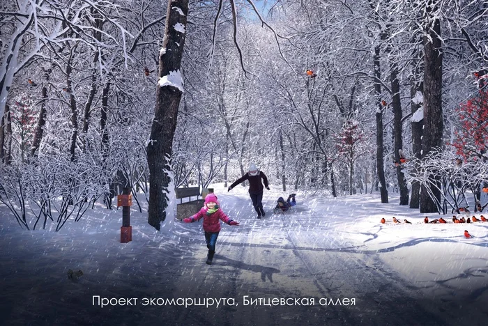 We carried out measures to rehabilitate the Bitsevsky forest... - Ecology, Eco-city, Moscow, VKontakte (link)