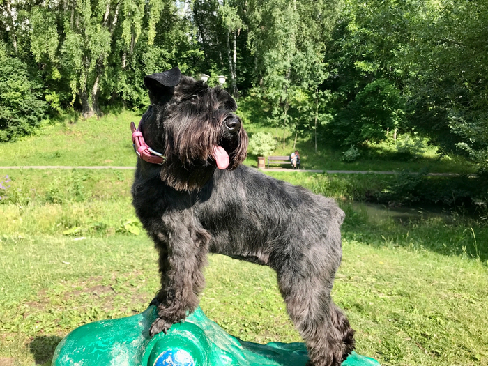 Умеем в позирование