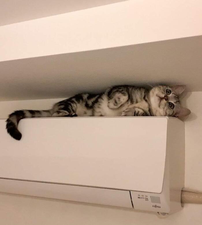  ,   , , , , , , 