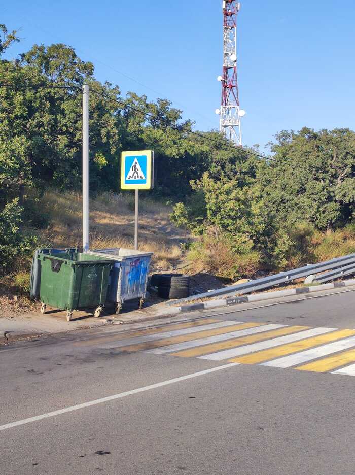 Help me cross the road! - My, Garbage bins, Yalta, Humor