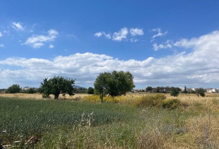 Cyprus (or Adygea) - My, Watercolor, Traditional art, Landscape, Field, Comparison, Education, Longpost