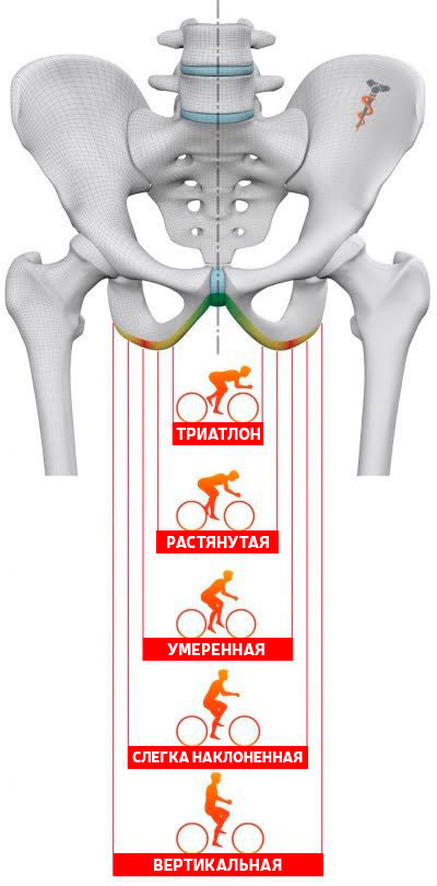 HOW TO CHOOSE AND ADJUST A BICYCLE SADDLE - Cyclist, A bike, Advice, Saddle, Bike ride, Useful, Booty, Joints, Knee, Yandex Zen (link), Longpost, Video, Vertical video, My