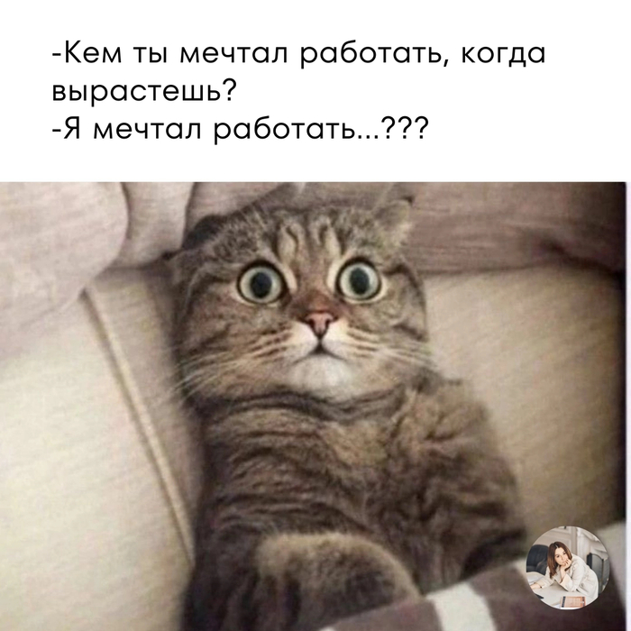  ? ,   , , , 
