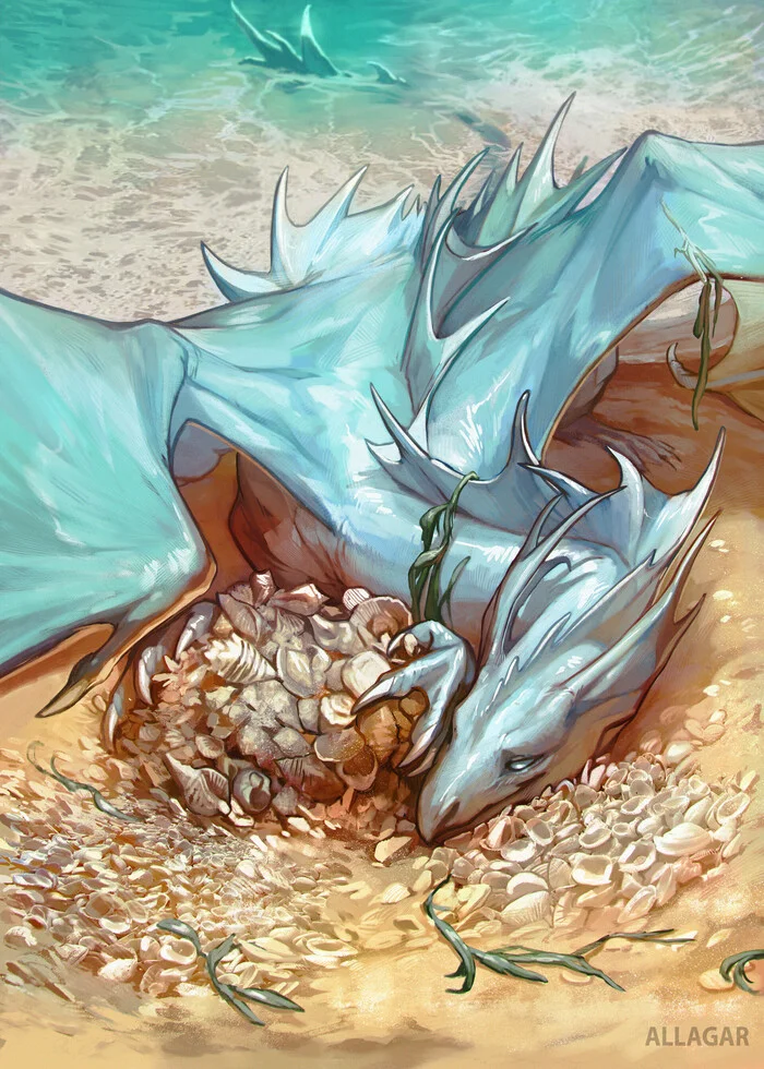 Shells - Art, The Dragon, Seashells, Sea, Collection, hidden treasures, Beach, Digital drawing, Allagar