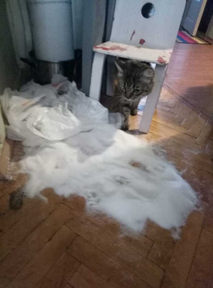       ,      , 