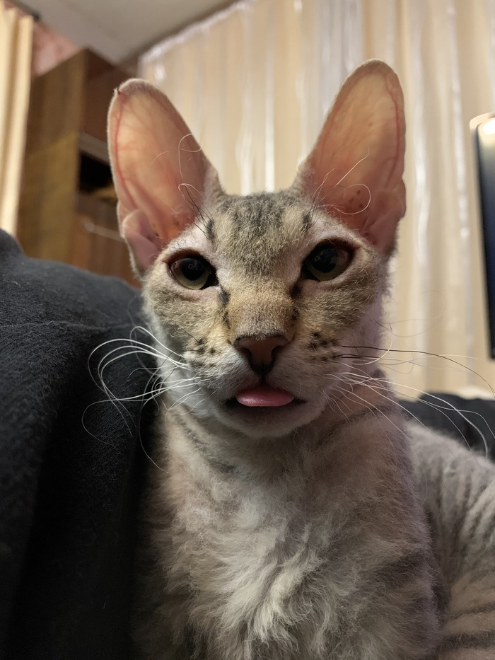 ������������ ��������� ��� � �����