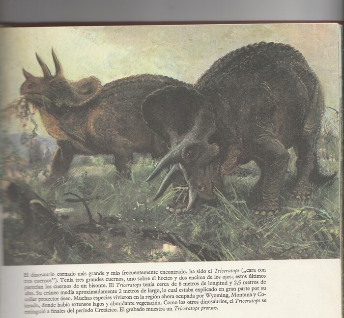     -          ,        .   ,          