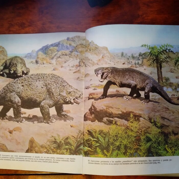      ""  -     ,       ,      . 