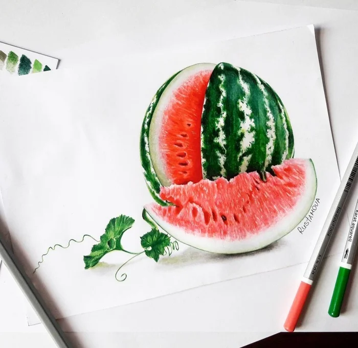 My drawing with colored pencils - My, Drawing, Illustrations, Pencil drawing, Colour pencils, Botanical illustration, Art, Traditional art, Realism, Watermelon, Friday tag is mine