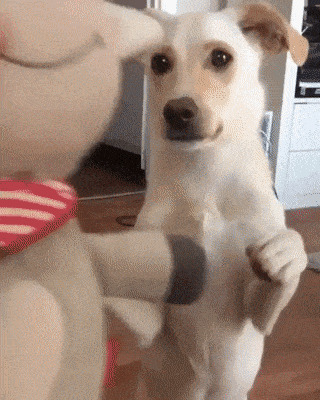   , , , 