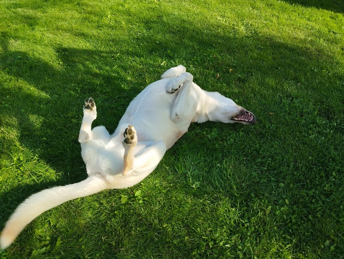 Счастлив, да