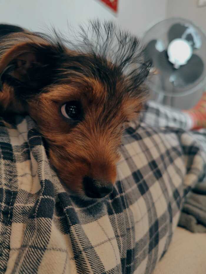 ��� ������ ������, ������ ���� ������� �����, ��������� �� � ��������� � ������������ 