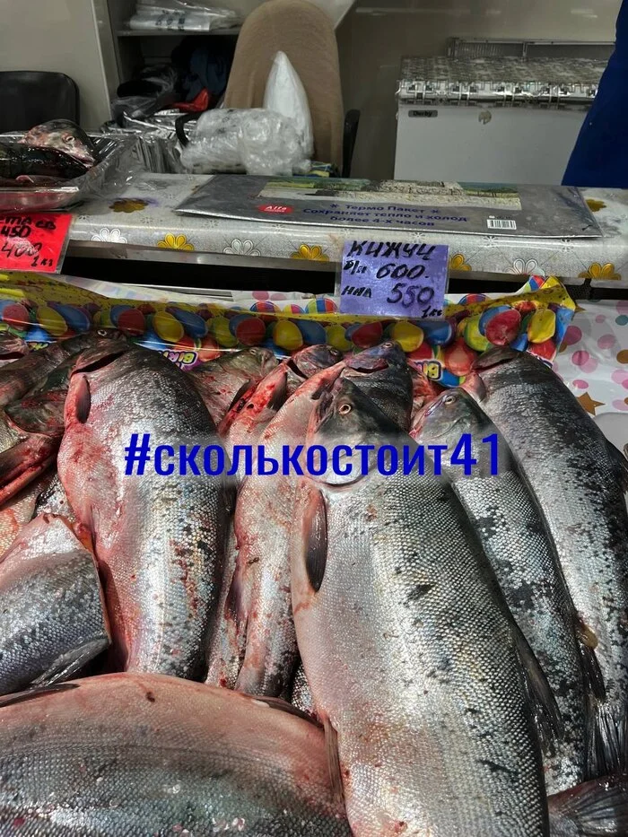 Acquiring tax - Acquiring, Kamchatka, Market, Coho salmon, Prices, Telegram (link)