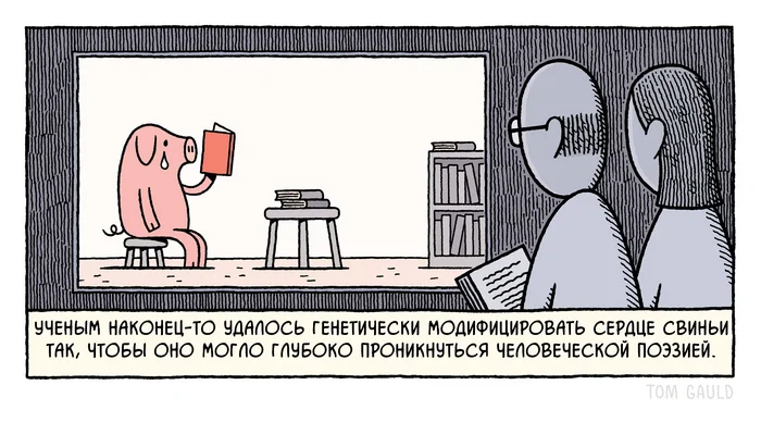 Japanese beads are next - Comics, Tom gauld, Translated by myself, Pig, Poetry