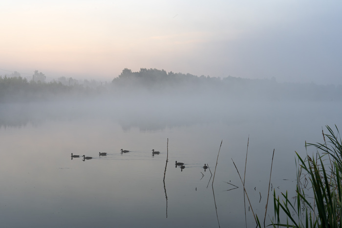 Рассвет на озере