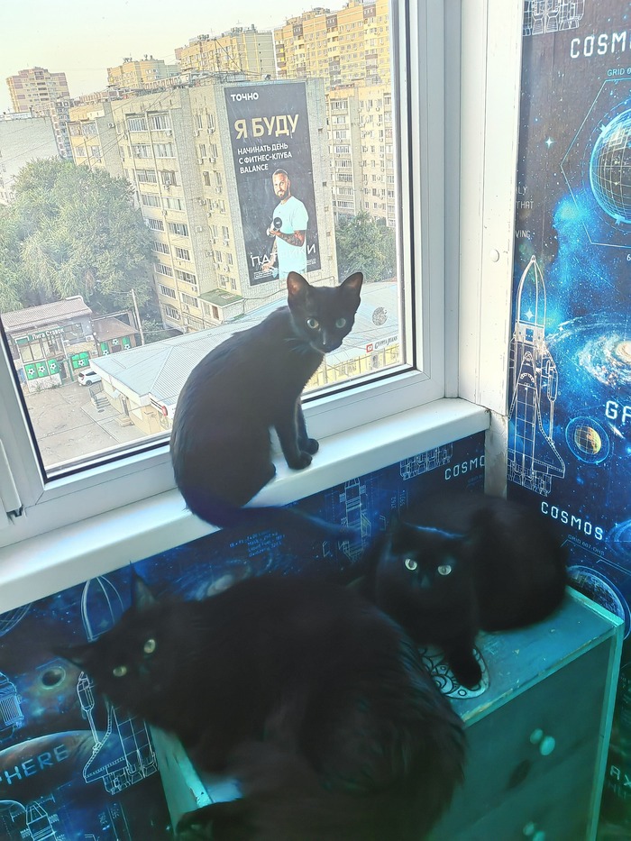 ��� - ������(����), ����������� - ��������(����),�������� - ����