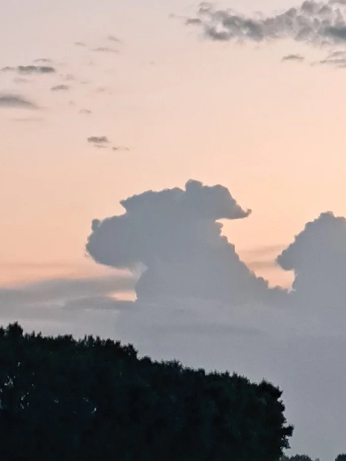 Cloud - Dog - My, Clouds, Dog, Longpost, Pareidolia, Sky, The photo