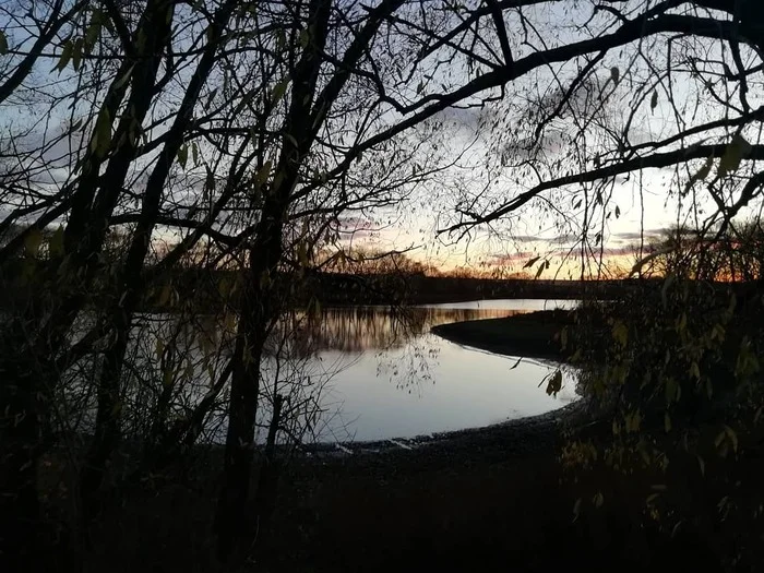 Beautiful) - My, The photo, Mobile photography, Nature, Evening, Pond, View, Beautiful view, beauty