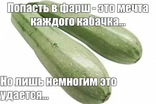 Squash caviar on sale! Come on, hurry up! Healthy again! - Humor, Zucchini, Longpost