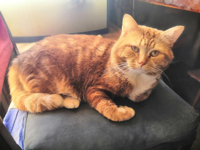 Что ж отдаю своего лучшего друга